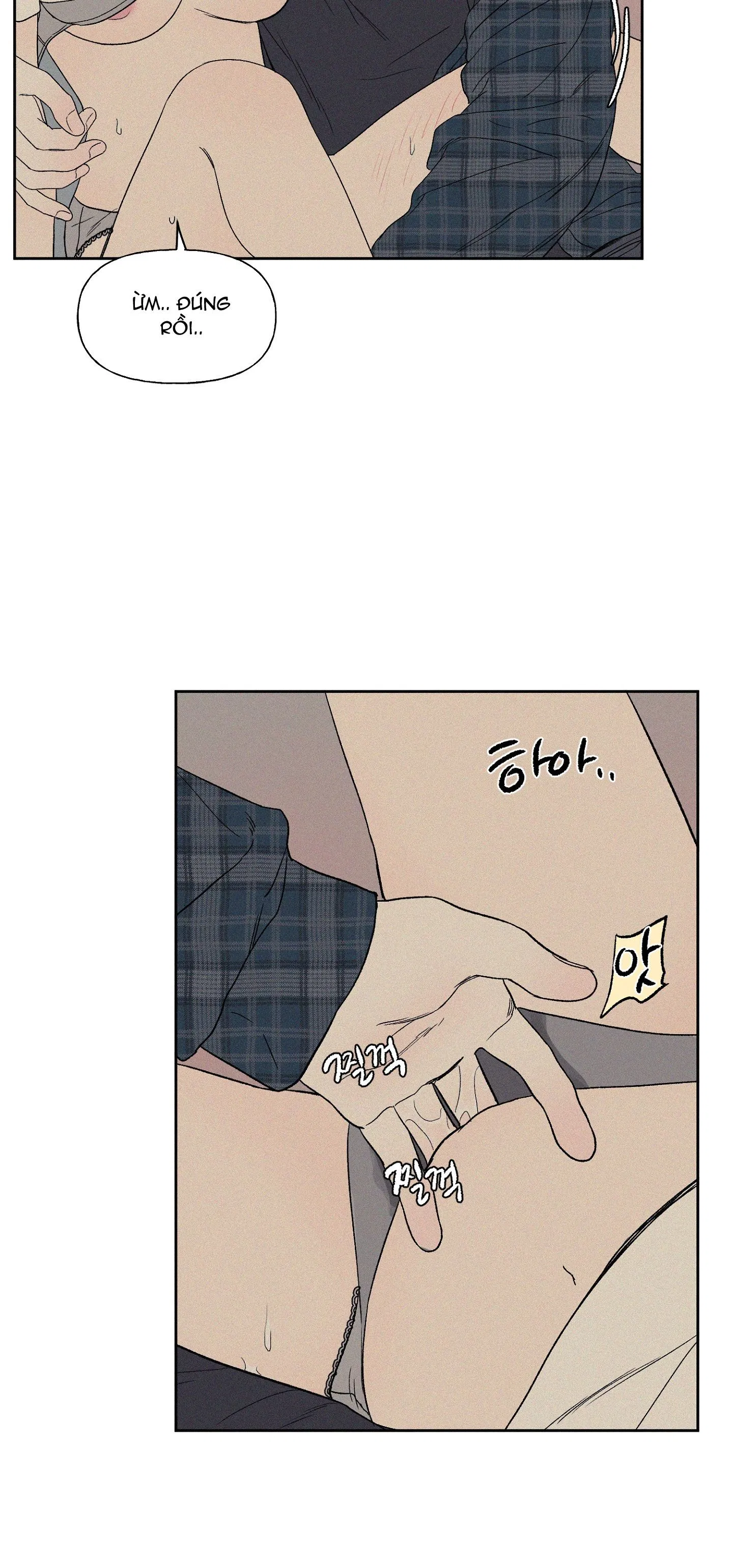 [18+] 3XLOVE 