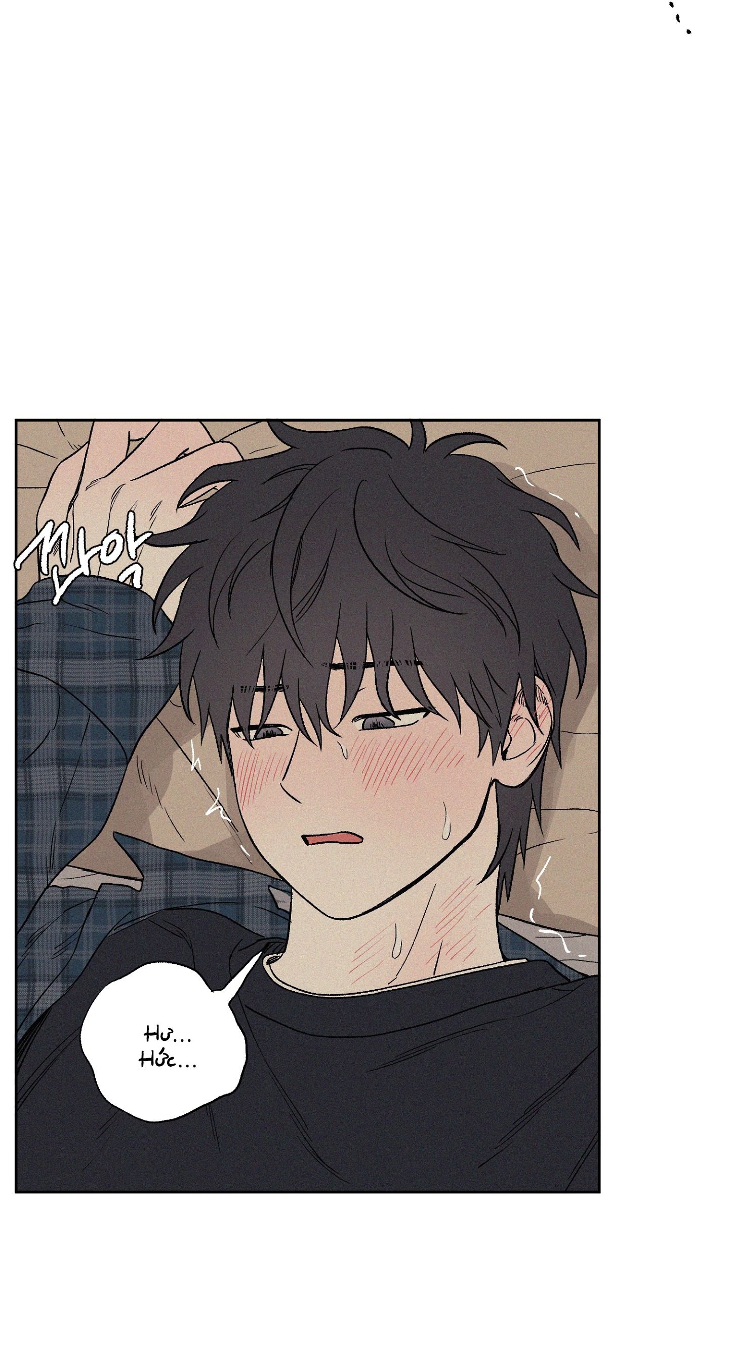[18+] 3XLOVE 