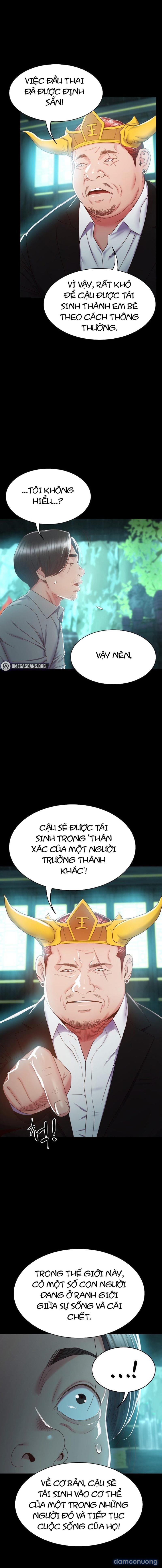 Sự Tái Sinh Tuyệt Vời 