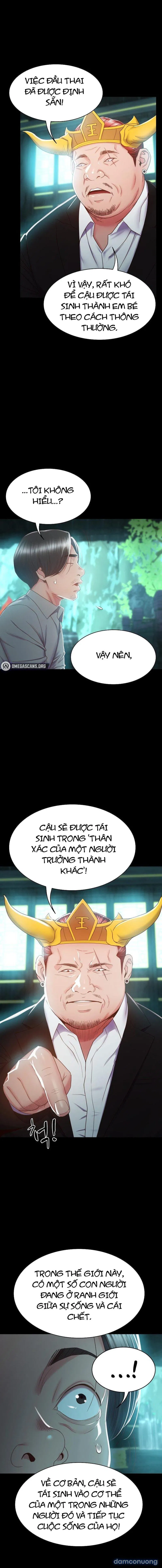 Sự Tái Sinh Tuyệt Vời 
