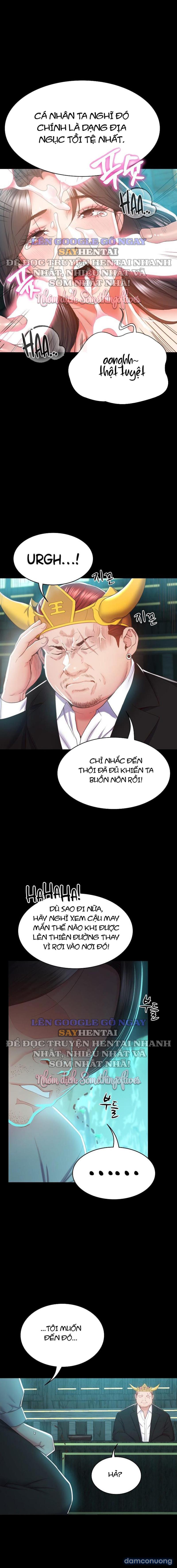 Sự Tái Sinh Tuyệt Vời 
