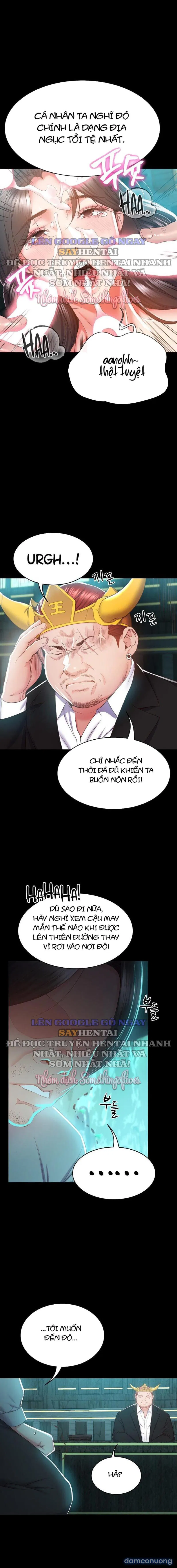 Sự Tái Sinh Tuyệt Vời 
