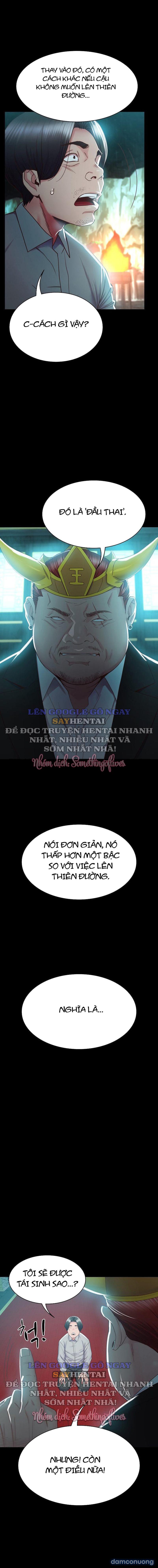 Sự Tái Sinh Tuyệt Vời 