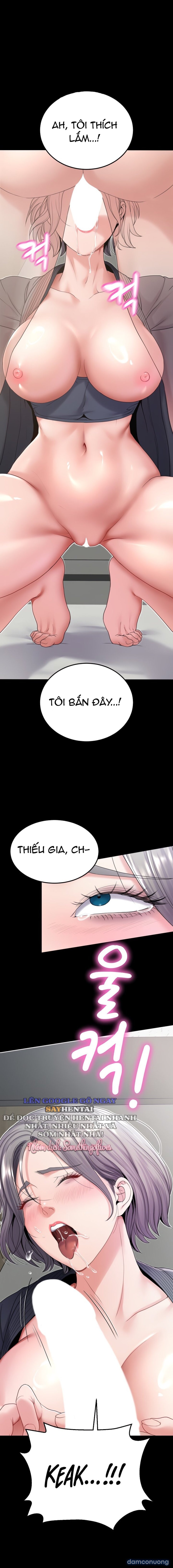 Sự Tái Sinh Tuyệt Vời 