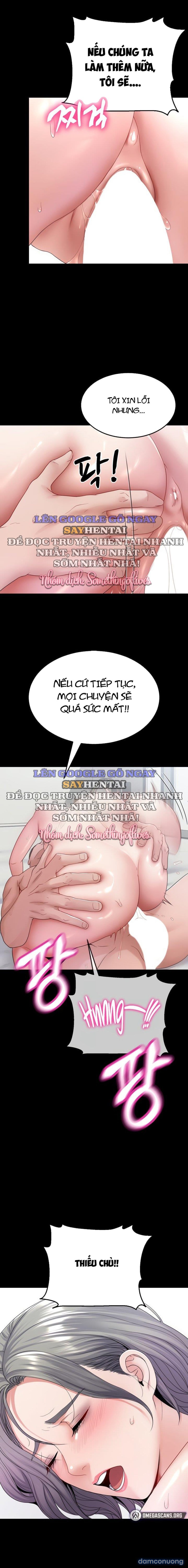 Sự Tái Sinh Tuyệt Vời 