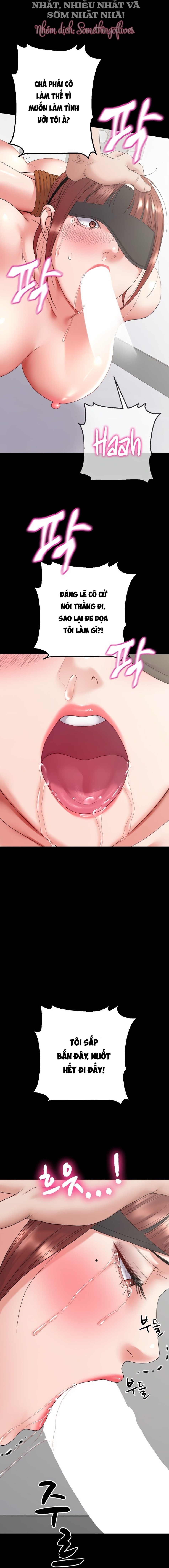 Sự Tái Sinh Tuyệt Vời 