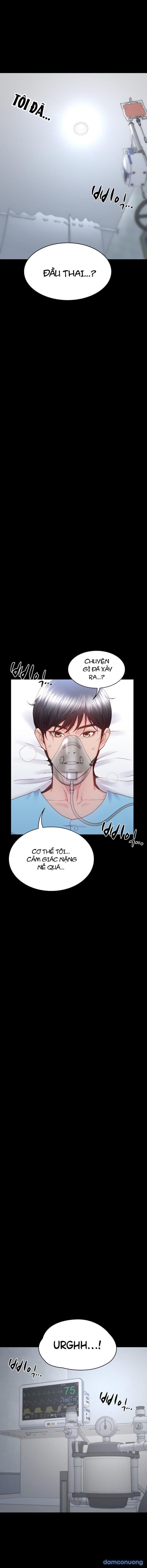 Sự Tái Sinh Tuyệt Vời 