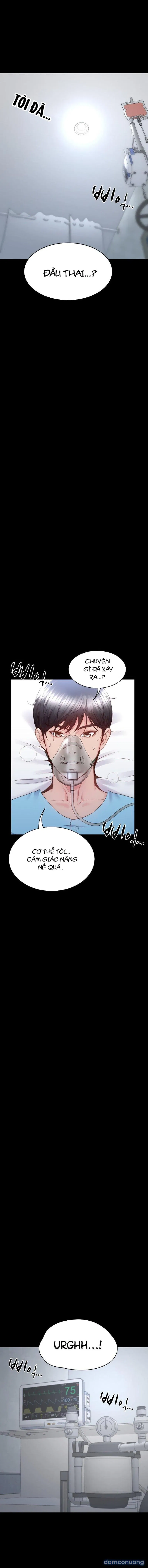 Sự Tái Sinh Tuyệt Vời 