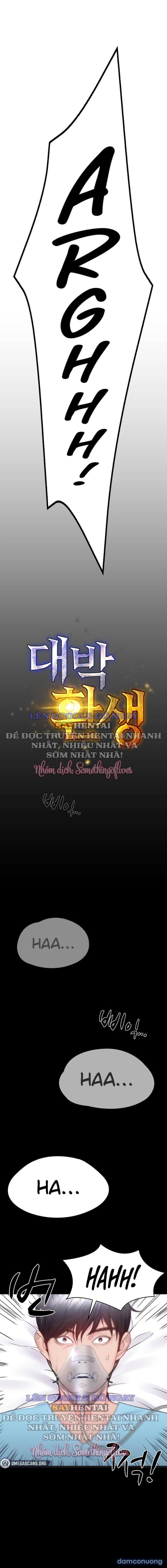 Sự Tái Sinh Tuyệt Vời 