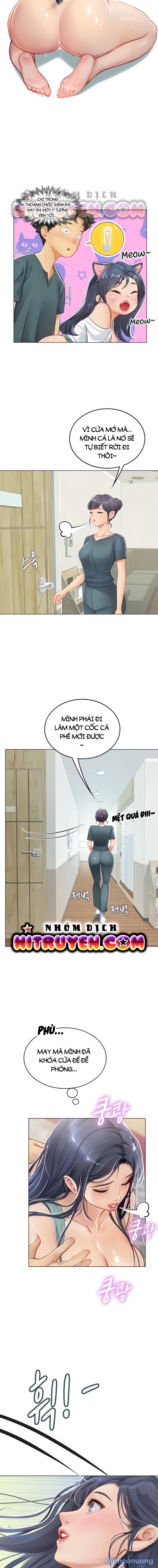 Thực Tập Ở Làng Tiên Cá 