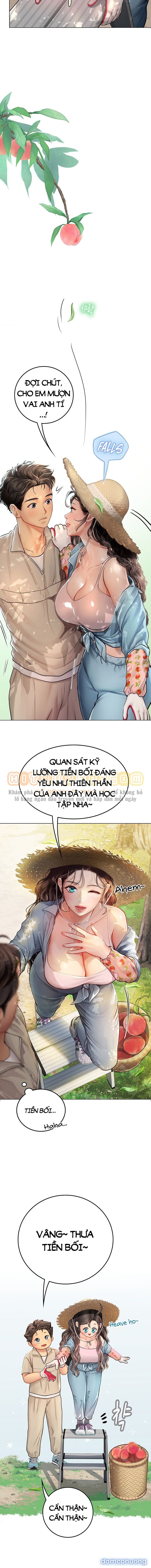 Thực Tập Ở Làng Tiên Cá 