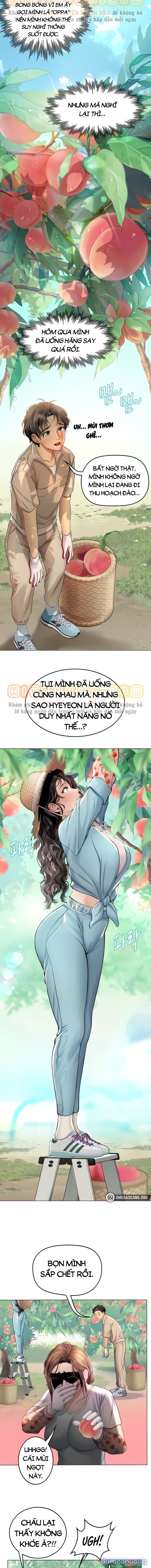 Thực Tập Ở Làng Tiên Cá 