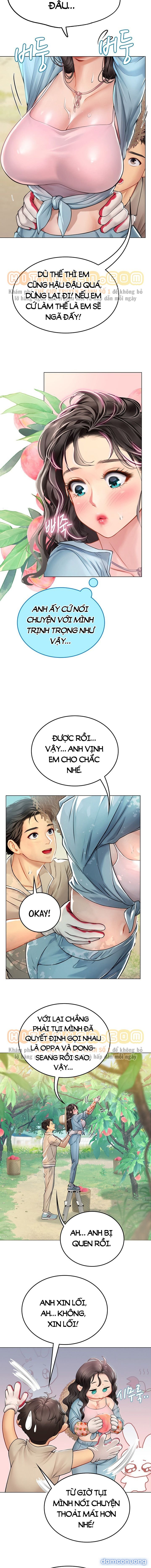 Thực Tập Ở Làng Tiên Cá 