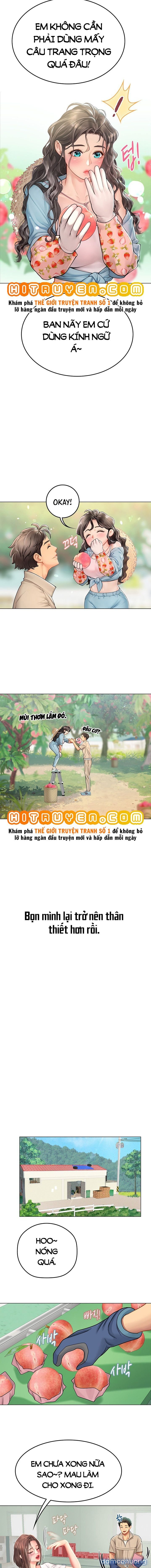 Thực Tập Ở Làng Tiên Cá 