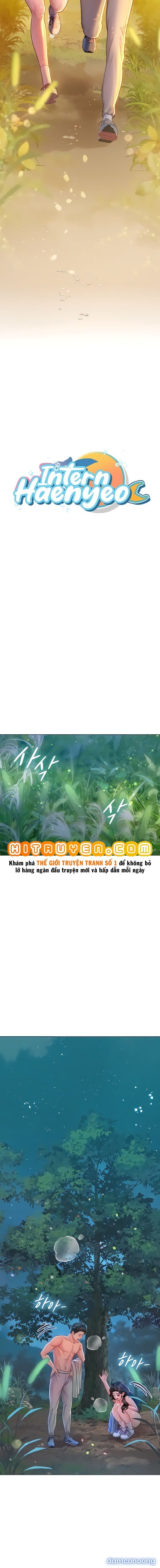 Thực Tập Ở Làng Tiên Cá 