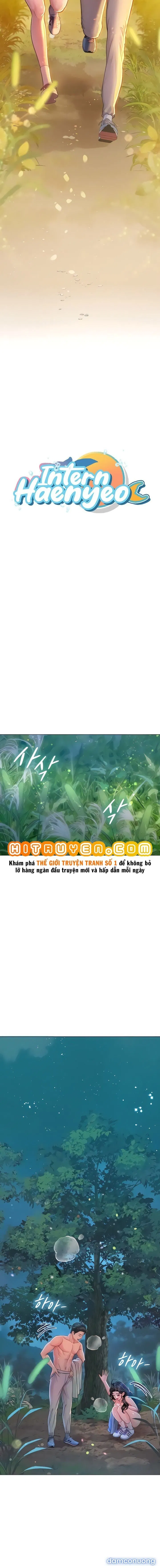 Thực Tập Ở Làng Tiên Cá 