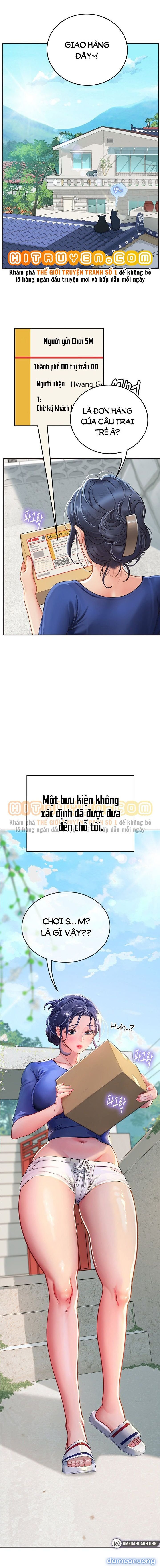 Thực Tập Ở Làng Tiên Cá 