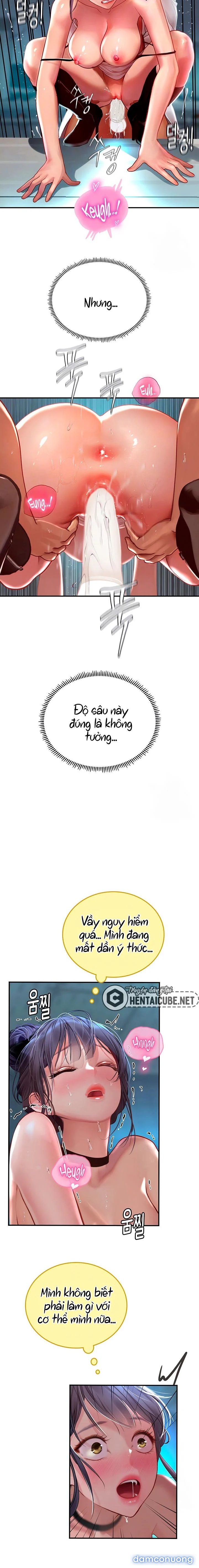 Thực Tập Ở Làng Tiên Cá 