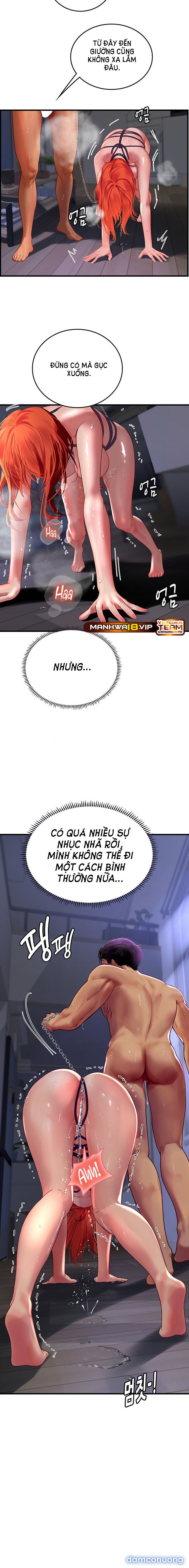 Thực Tập Ở Làng Tiên Cá 