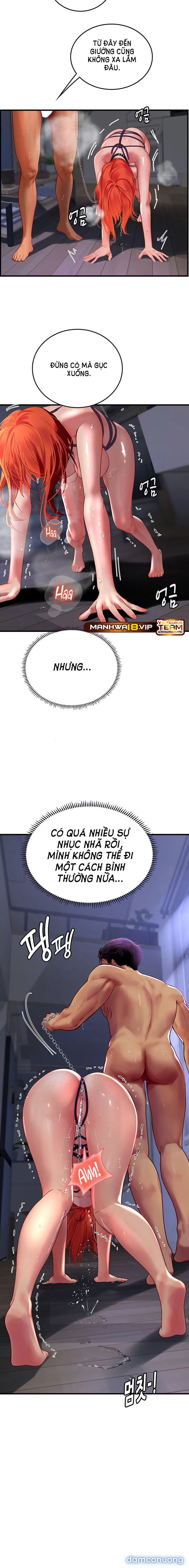 Thực Tập Ở Làng Tiên Cá 