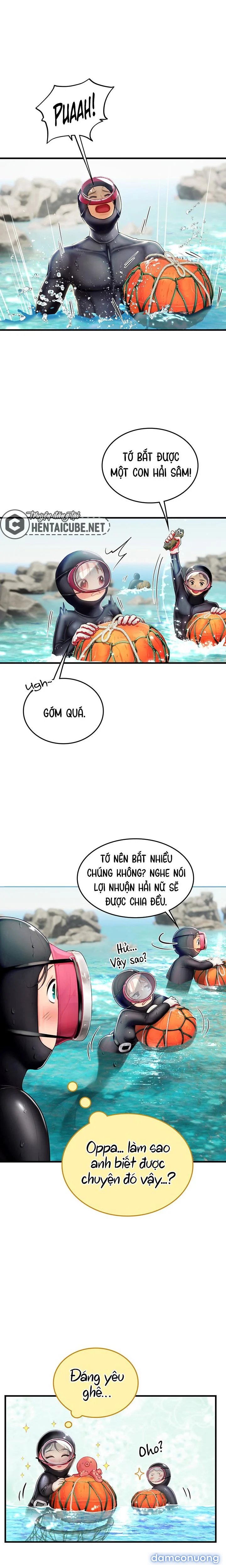 Thực Tập Ở Làng Tiên Cá 