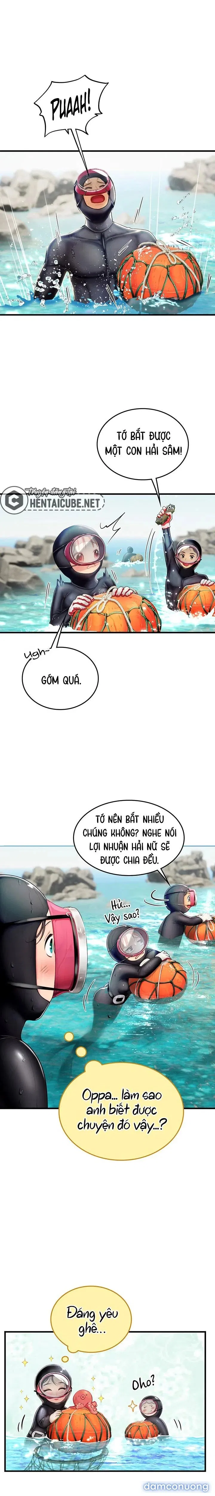 Thực Tập Ở Làng Tiên Cá 