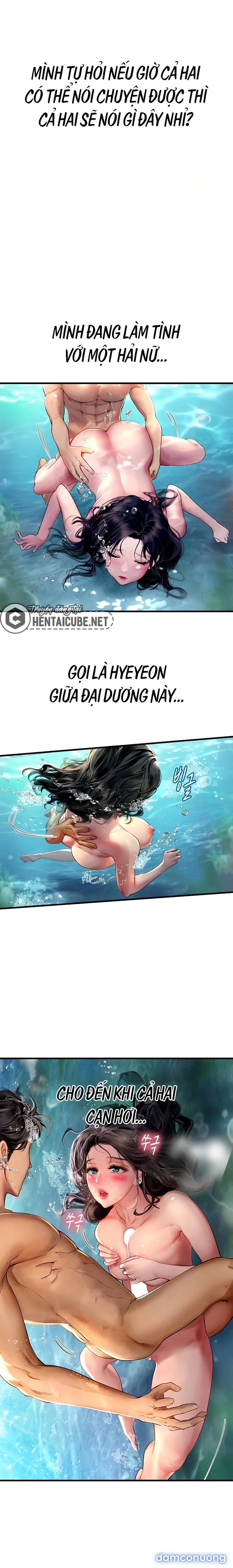 Thực Tập Ở Làng Tiên Cá 