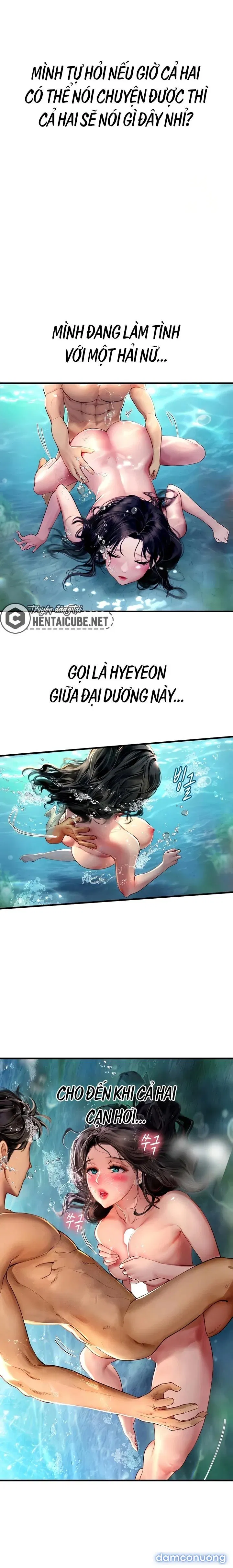 Thực Tập Ở Làng Tiên Cá 