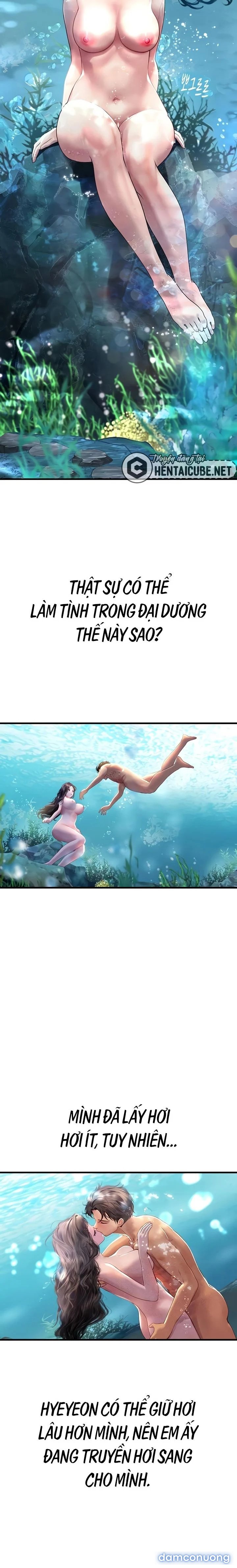 Thực Tập Ở Làng Tiên Cá 