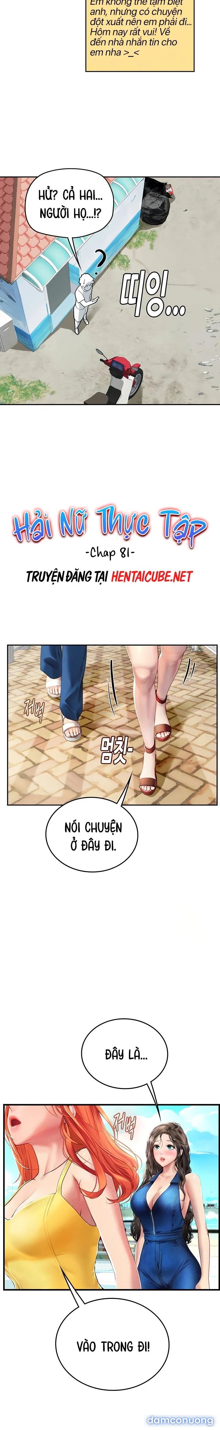 Thực Tập Ở Làng Tiên Cá 