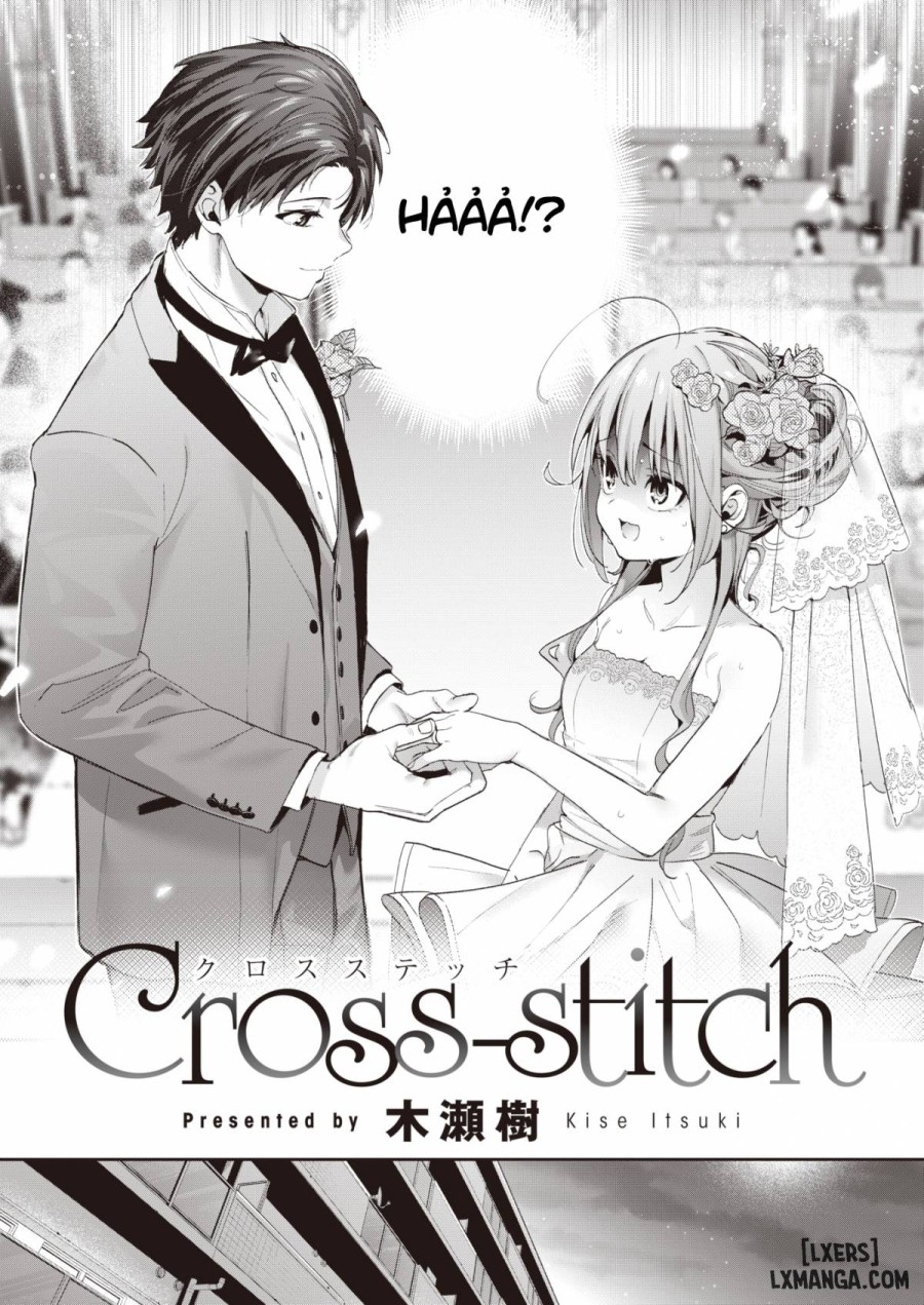 Cross-stitch 