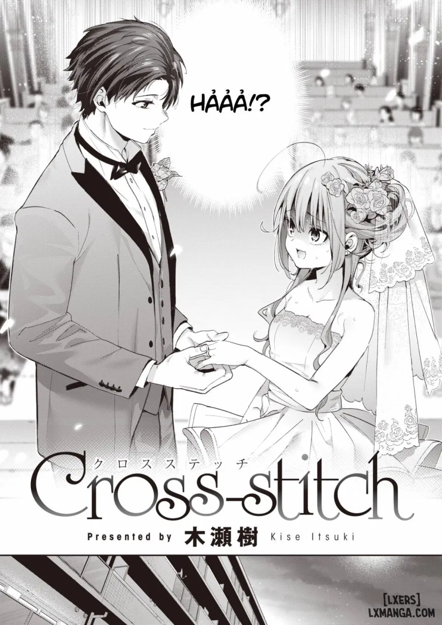 Cross-stitch 