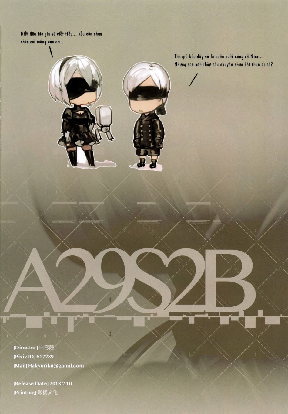 A29S2B 