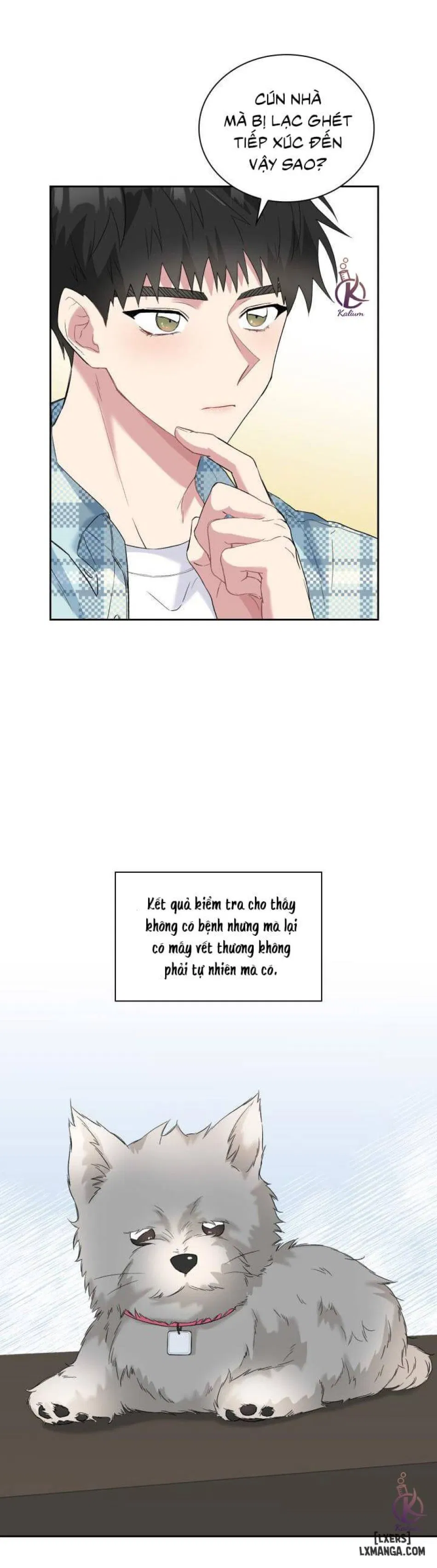 Giọt mưa 