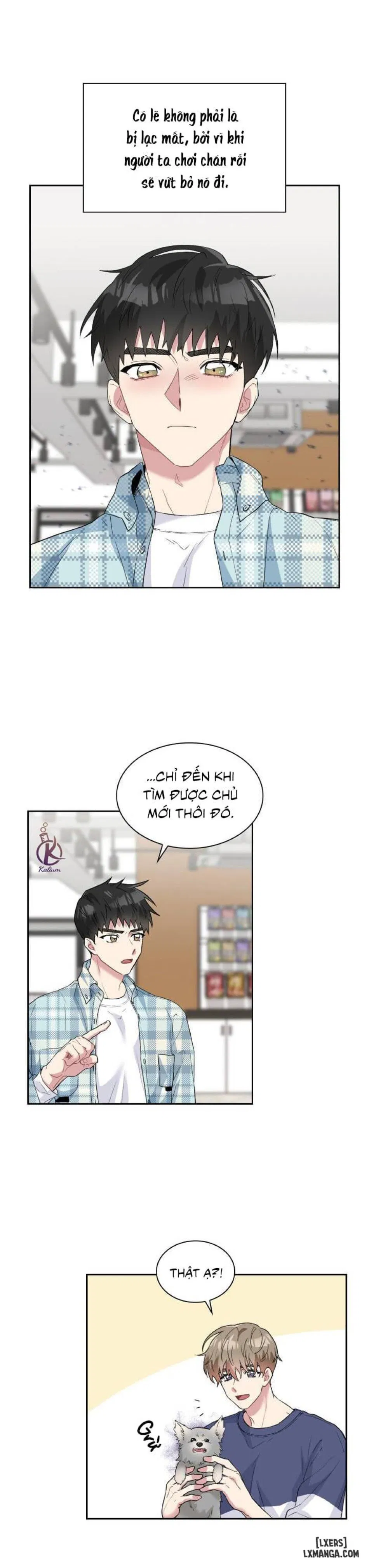 Giọt mưa 