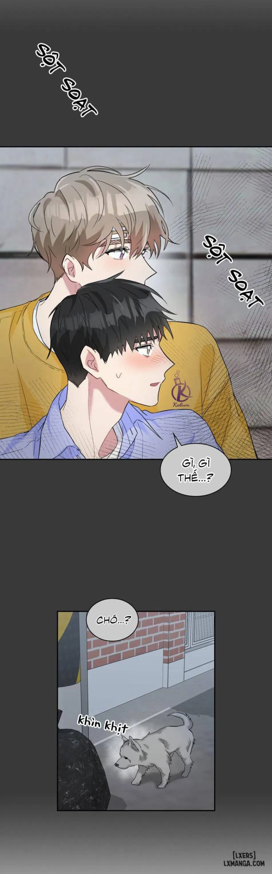Giọt mưa 