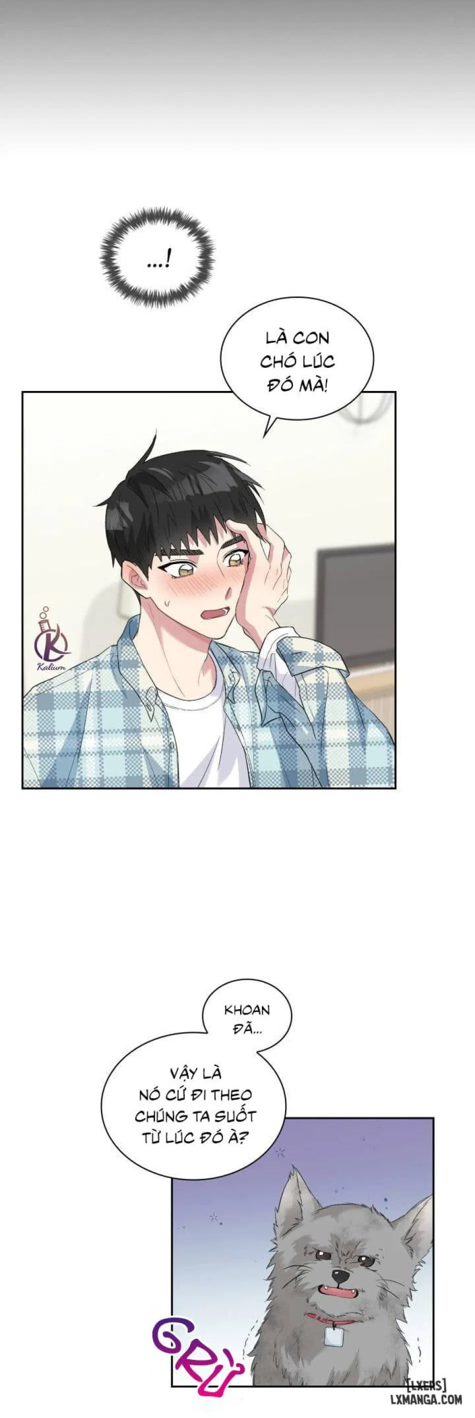 Giọt mưa 