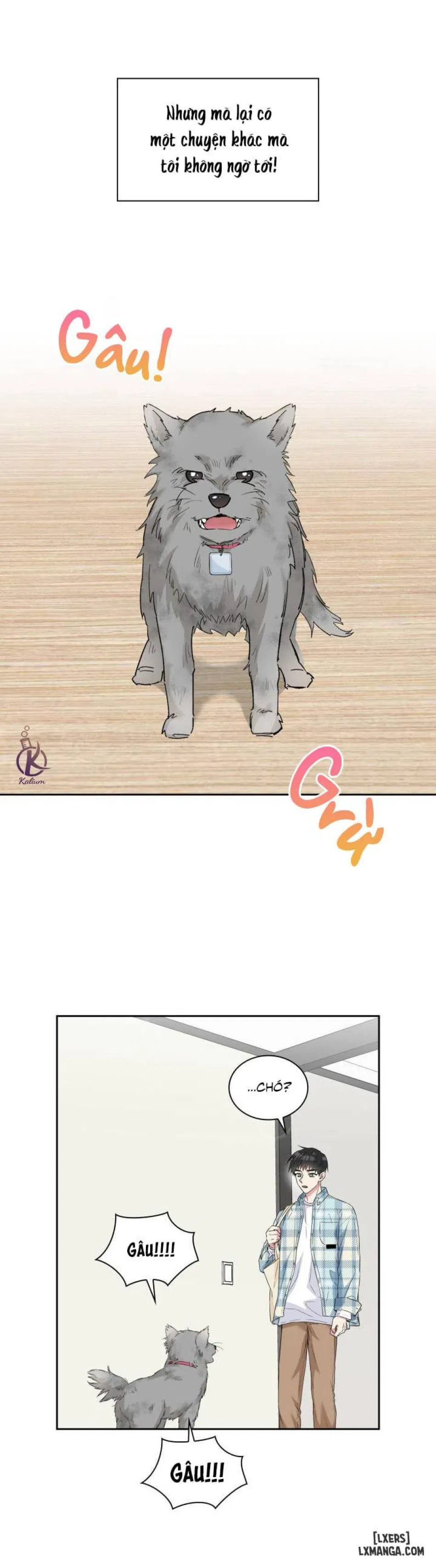 Giọt mưa 