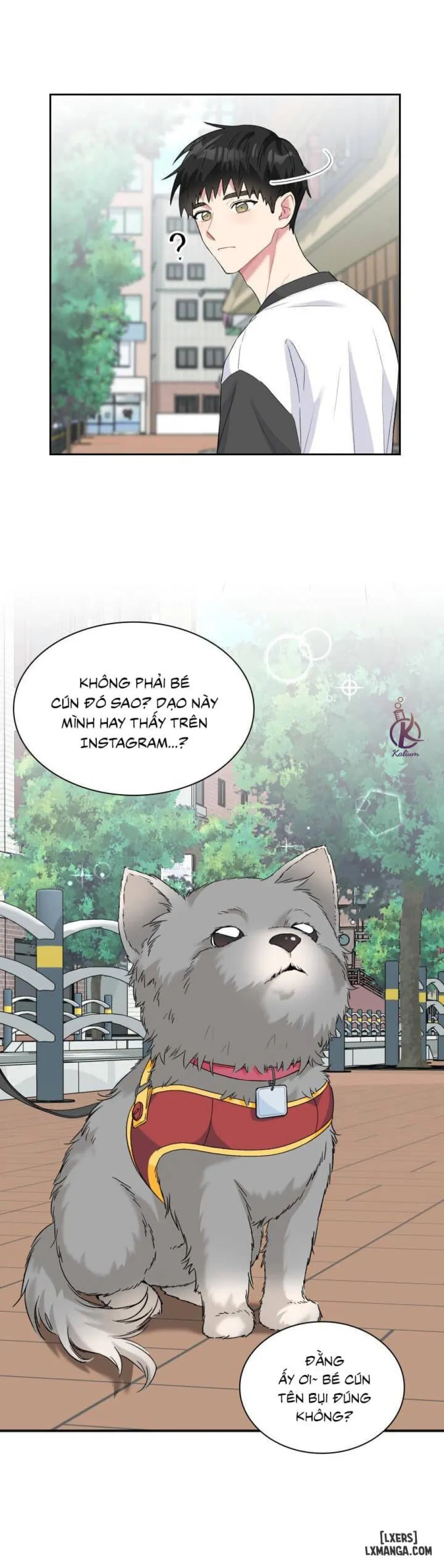 Giọt mưa 