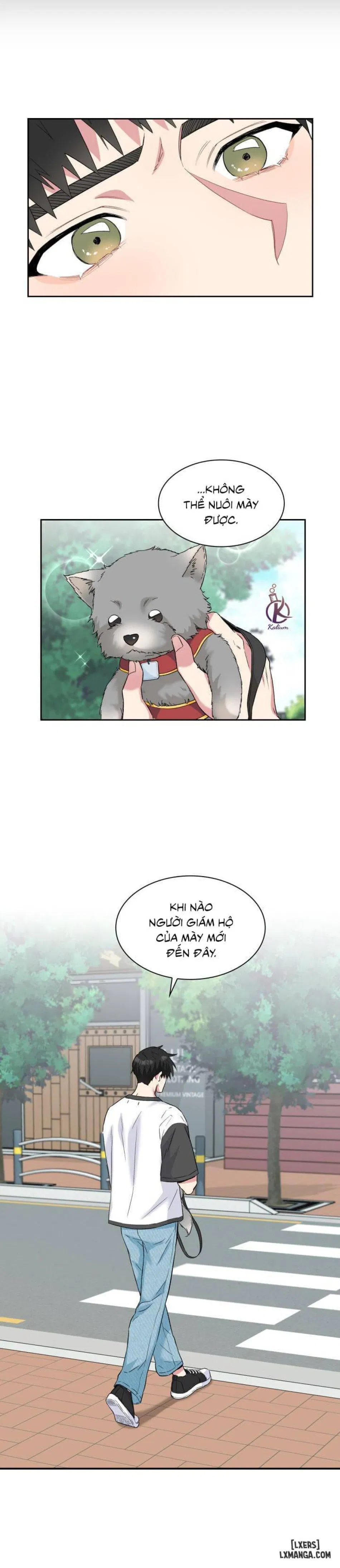Giọt mưa 