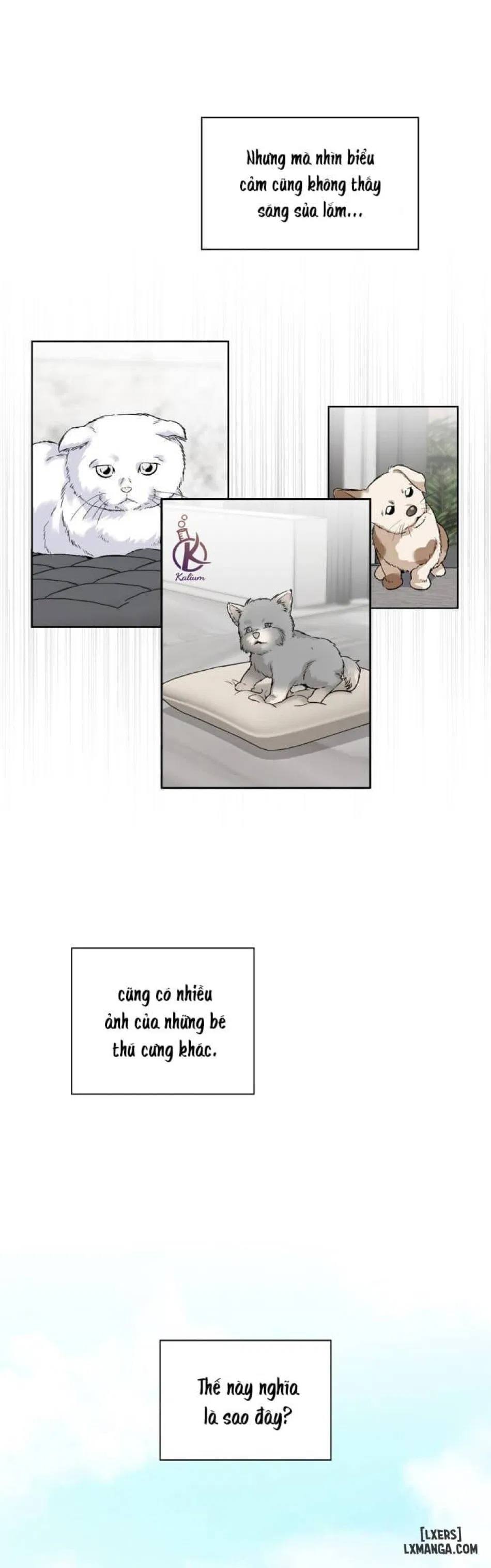 Giọt mưa 
