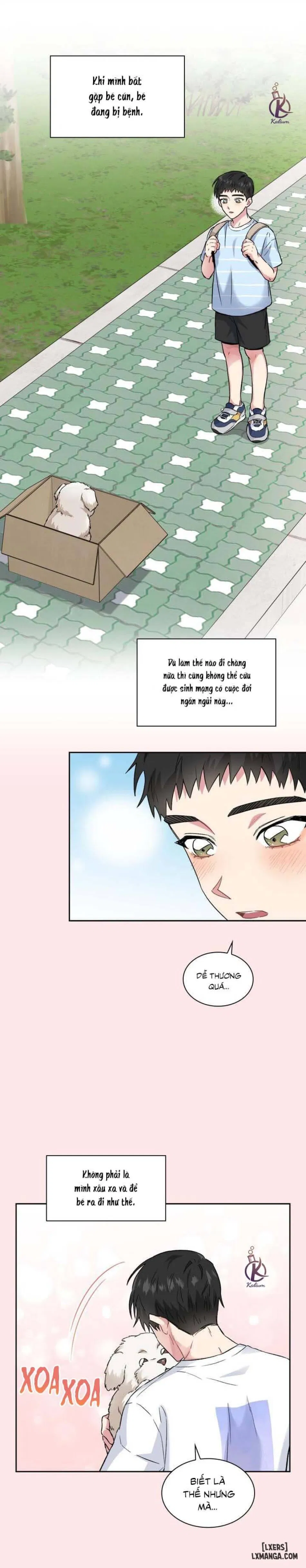 Giọt mưa 