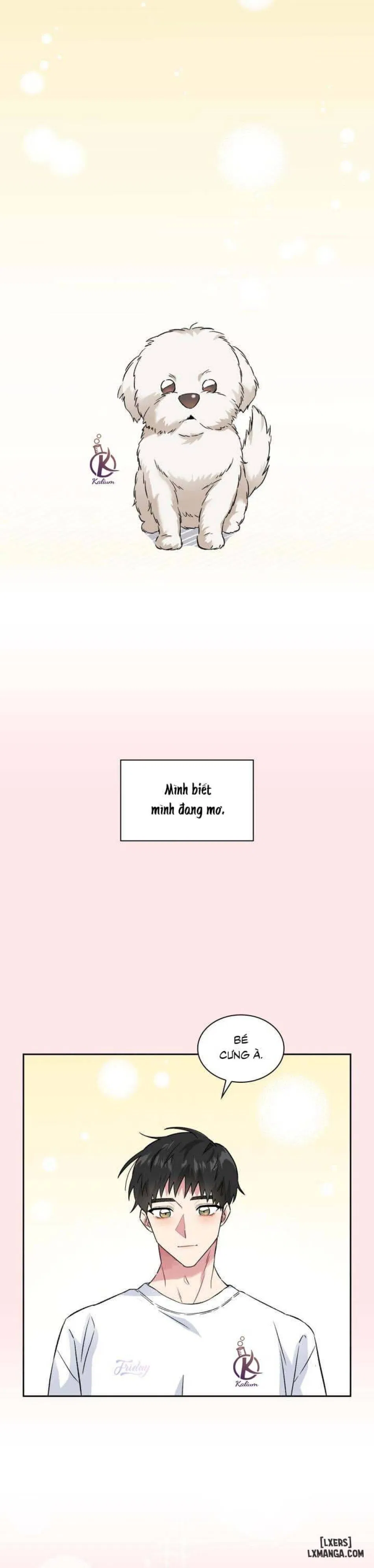 Giọt mưa 