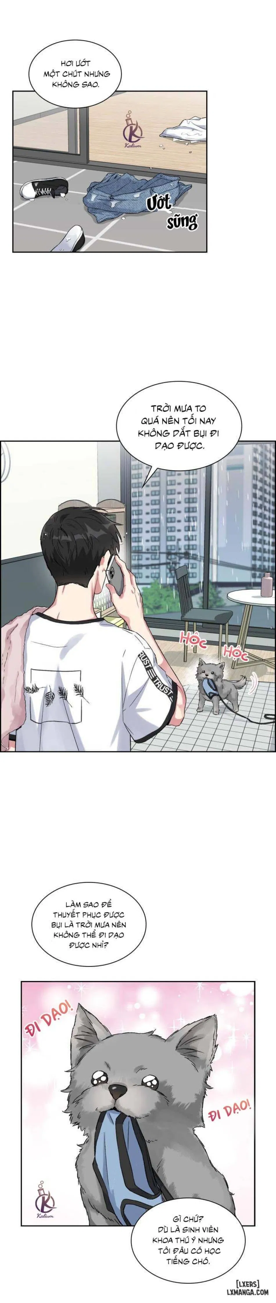 Giọt mưa 