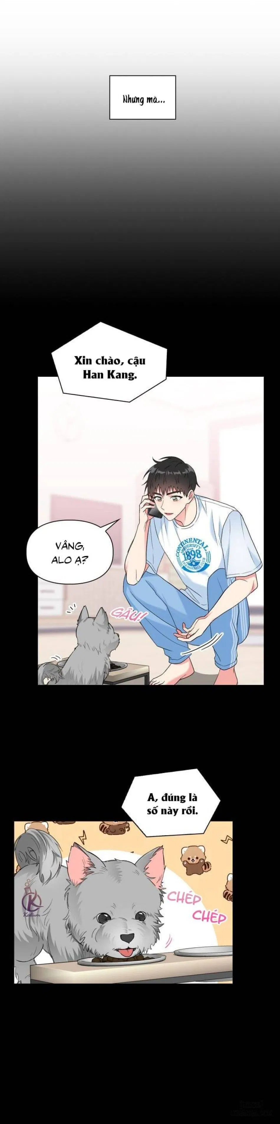 Giọt mưa 