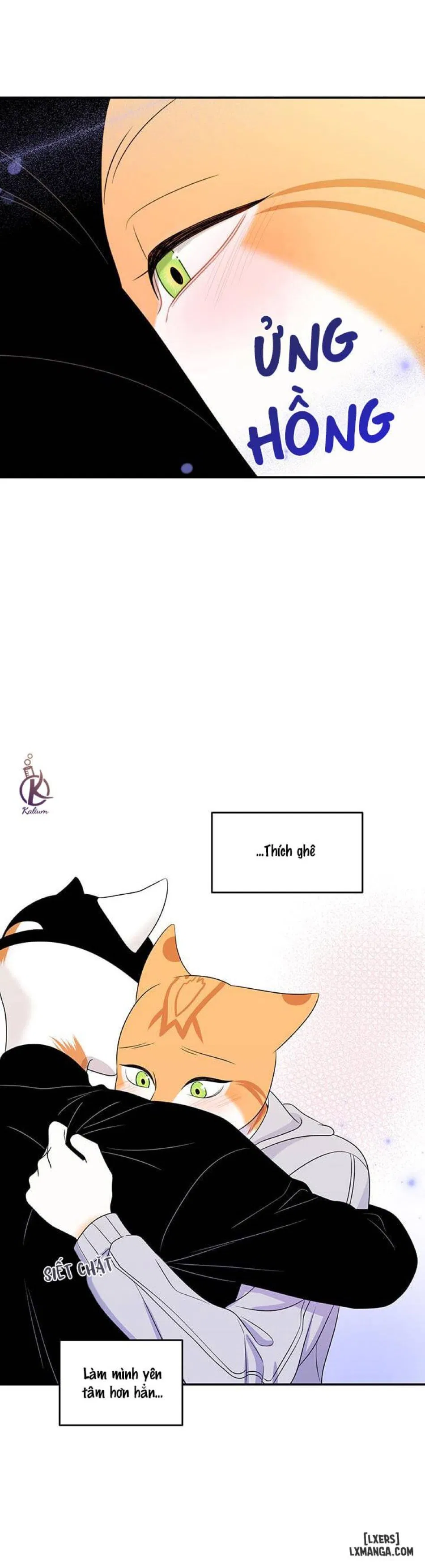 Dự án xanh 