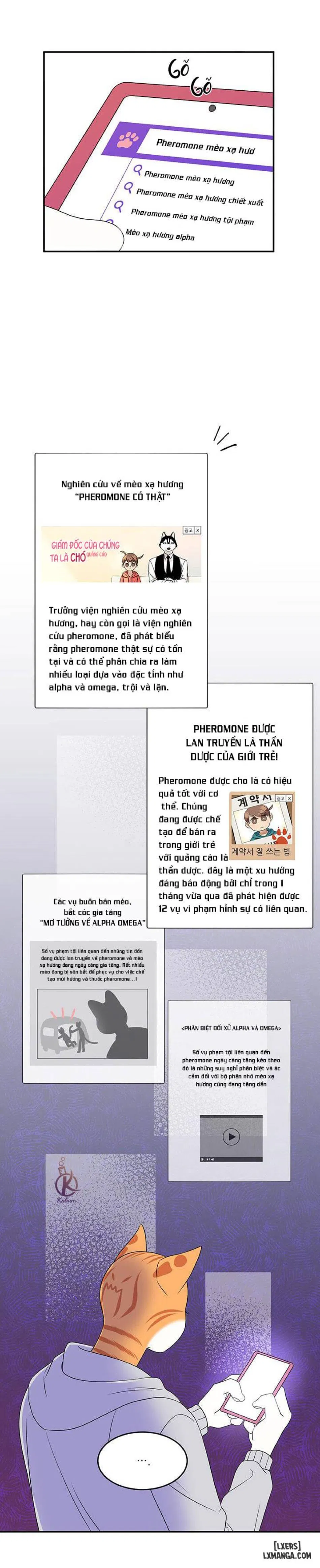Dự án xanh 