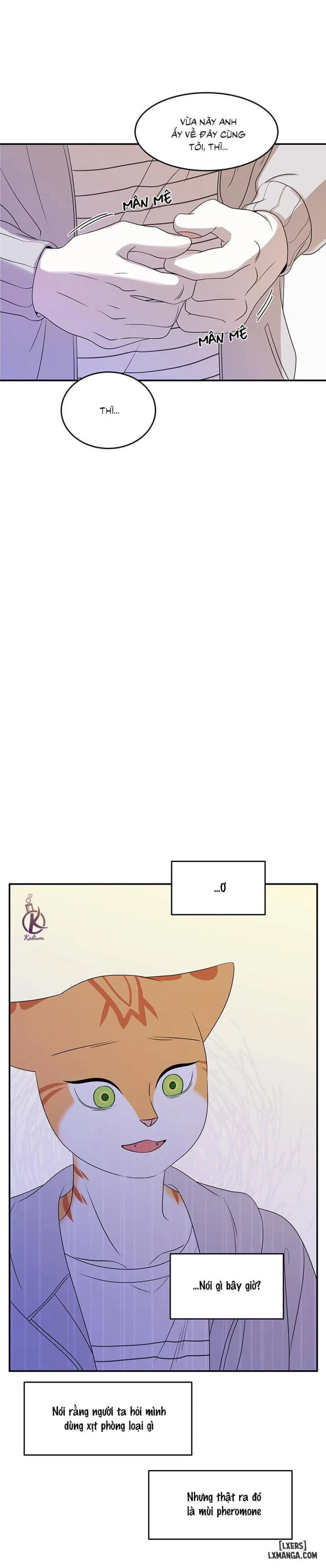 Dự án xanh 