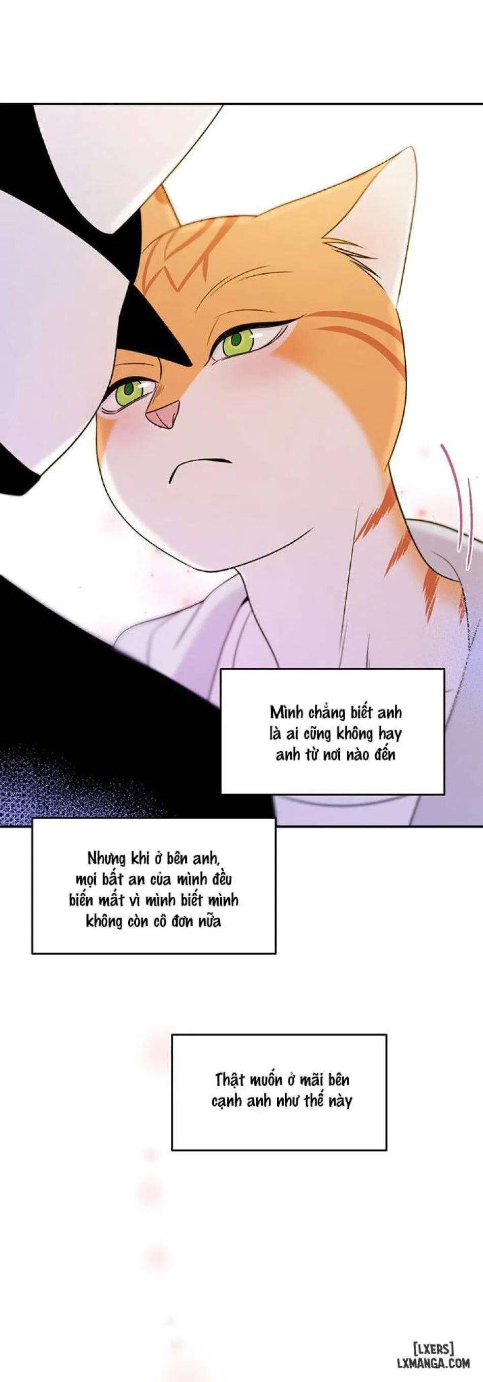 Dự án xanh 