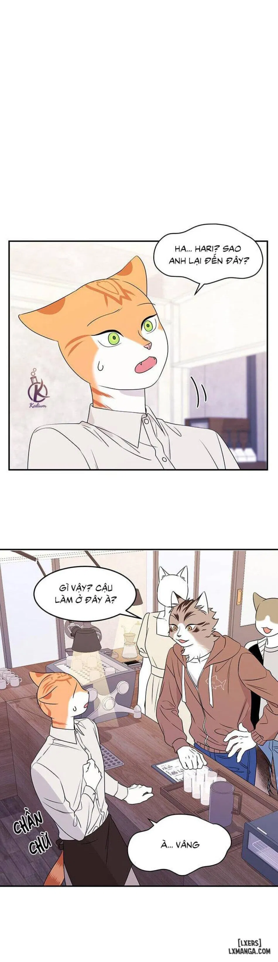 Dự án xanh 